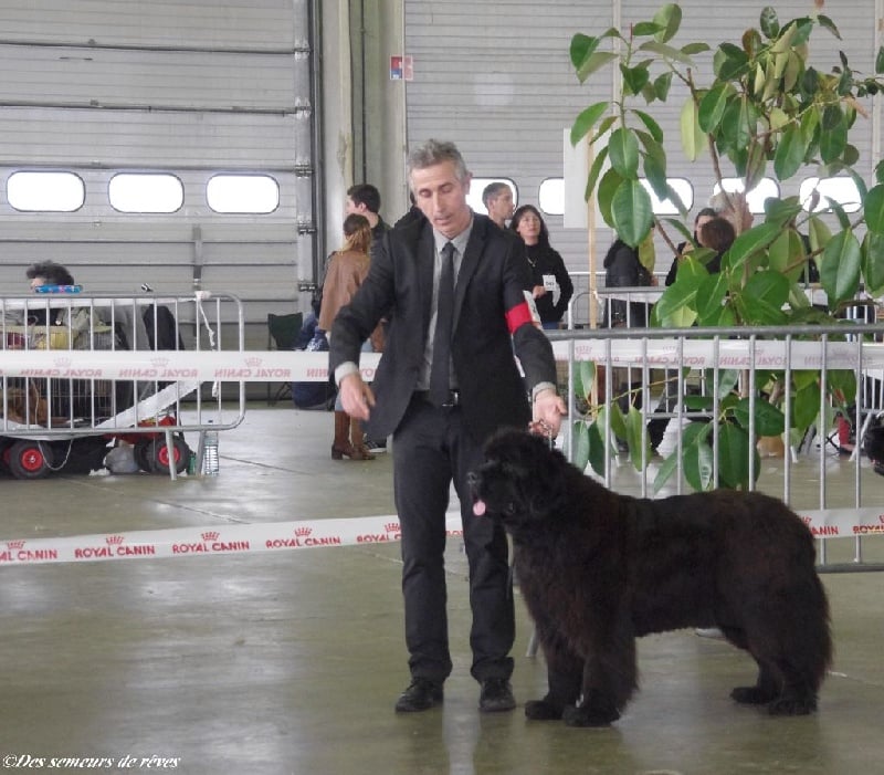 CH. Black Elk Eole - 1ère excellent CACS