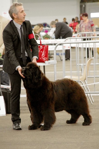 CH. Black Elk Eole - Très Bon