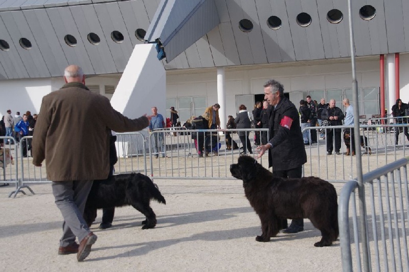 Irresistible mademoiselle rose Des Semeurs De Rêves - 2 EME EXCELLENT CLASSE INTERMEDIAIRE