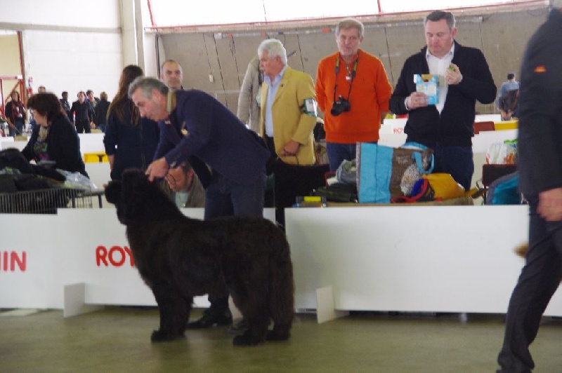 Irresistible mademoiselle rose Des Semeurs De Rêves - 4 EME CLASSE OUVERTE