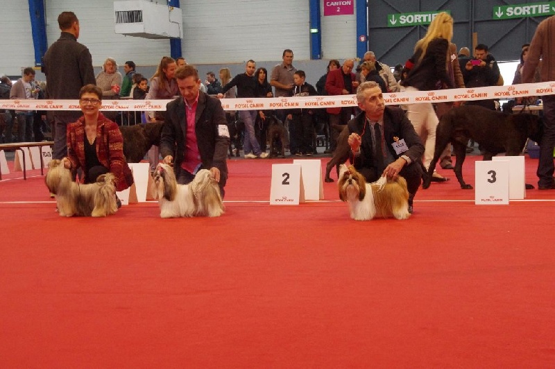 CH. Madonna from audreys paradis - TB NON CLASSEE