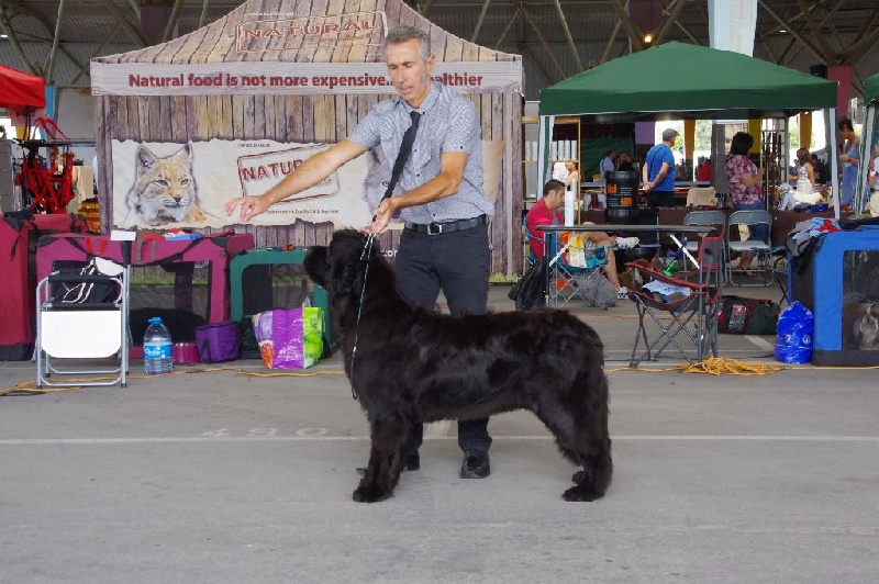 Irresistible mademoiselle rose Des Semeurs De Rêves - 2 EME EXCELLENT CLASSE INTERMEDIAIRE