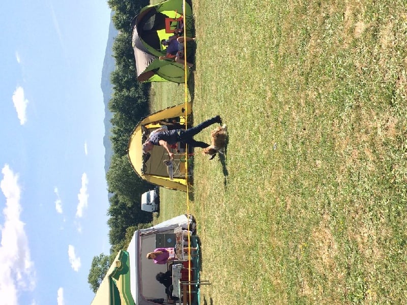 CH. Madonna from audreys paradis - 1 EXC CAC