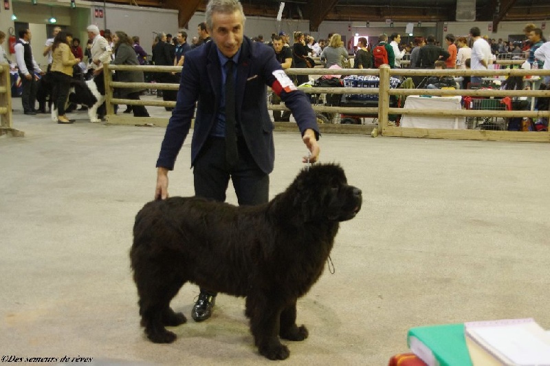 Irresistible mademoiselle rose Des Semeurs De Rêves - 1ère exc classe intermédiaire