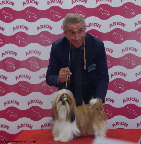 CH. Madonna from audreys paradis - 1ère exc COF CAC CACIB