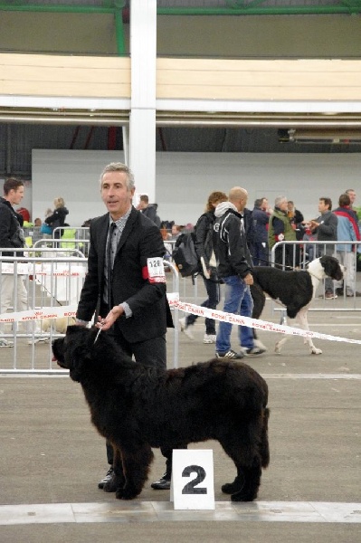 Irresistible mademoiselle rose Des Semeurs De Rêves - 2ème excellent en classe jeune