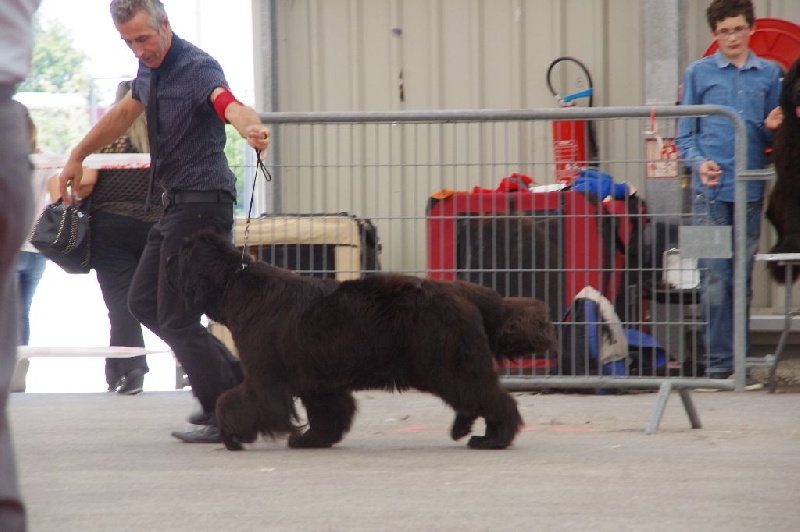 Irresistible mademoiselle rose Des Semeurs De Rêves - 2 EME EXCELLENT CLASSE INTERMEDIAIRE