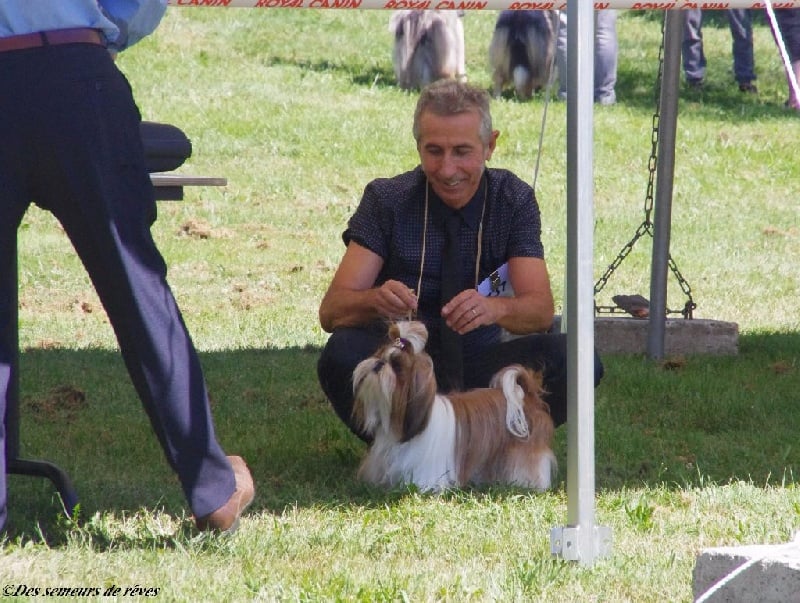 CH. Madonna from audreys paradis - 2ème Exc COF RCACS