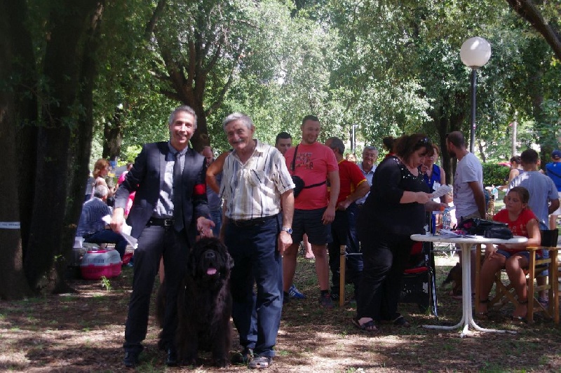 CH. Black Elk Eole - 1ère exc classe ouverte CAC CACIB