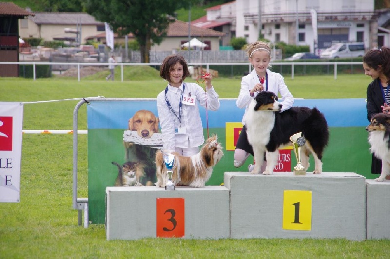 CH. Madonna from audreys paradis - 1 ER EXCELLENT MEILLEUR JEUNE