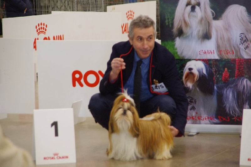 CH. Madonna from audreys paradis - 1 ERE EXC CLASSE INTERMEDIAIRE