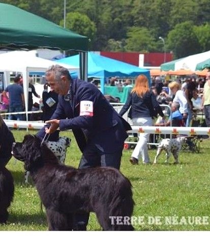 Irresistible mademoiselle rose Des Semeurs De Rêves - 2 EME EXCELLENT CLASSE INTERMEDIAIRE