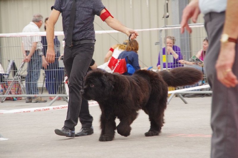 Irresistible mademoiselle rose Des Semeurs De Rêves - 4 EME TB CLASSE INTERMEDIAIRE