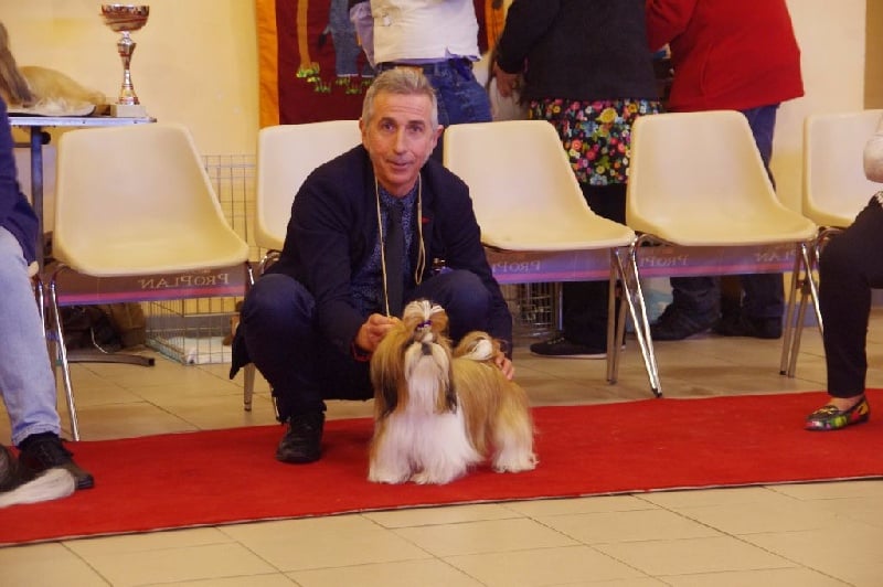 CH. Madonna from audreys paradis - 4 EME EXCELLENT CLASSE OUVERTE