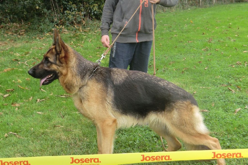 Jélia De la cascade enchantée - 2 ième TB classe jeune