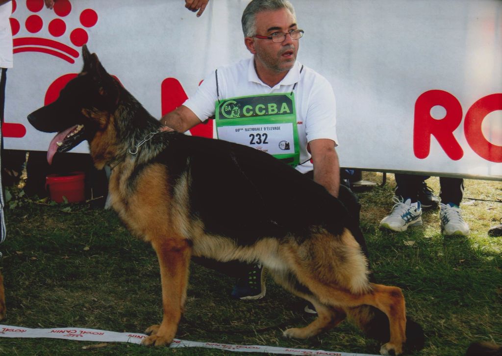Maestro dit mantos De la cascade enchantée - 3 ième TB classe junior sur 17