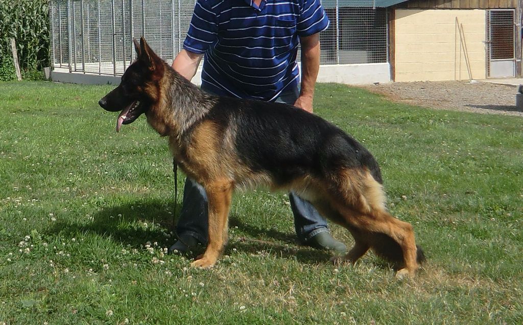 Maestro dit mantos De la cascade enchantée - 1er TB classe junior sur 7