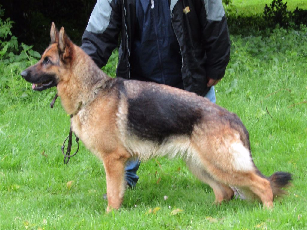 Jélia De la cascade enchantée - 5ième excellent