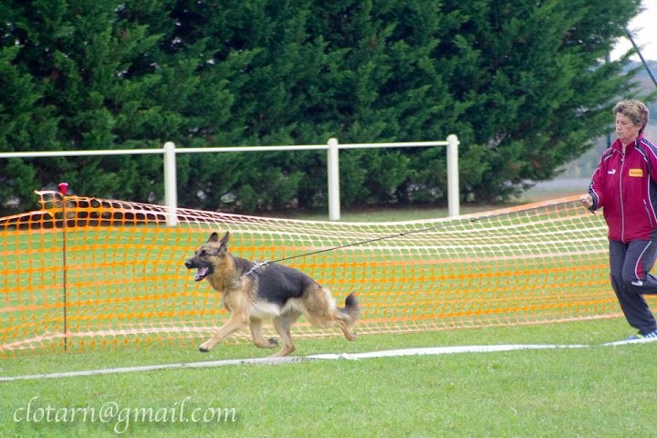 Jélia De la cascade enchantée - 3 ième TB classe jeune