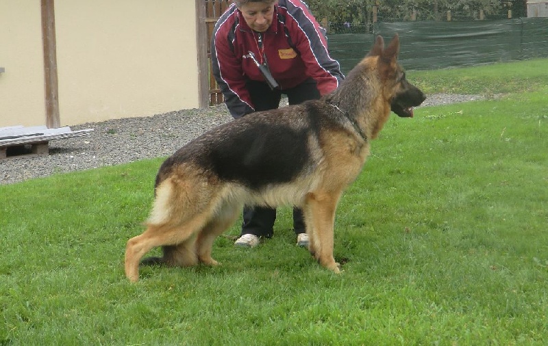 Jélia De la cascade enchantée - 2 ième TB classe OUVERTE