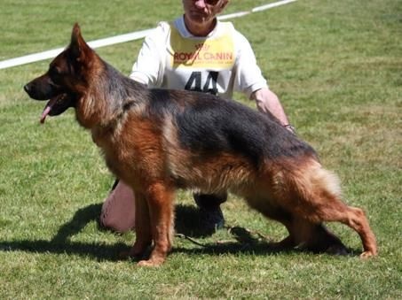 Jack De la cascade enchantée - 2ième tp classe junior