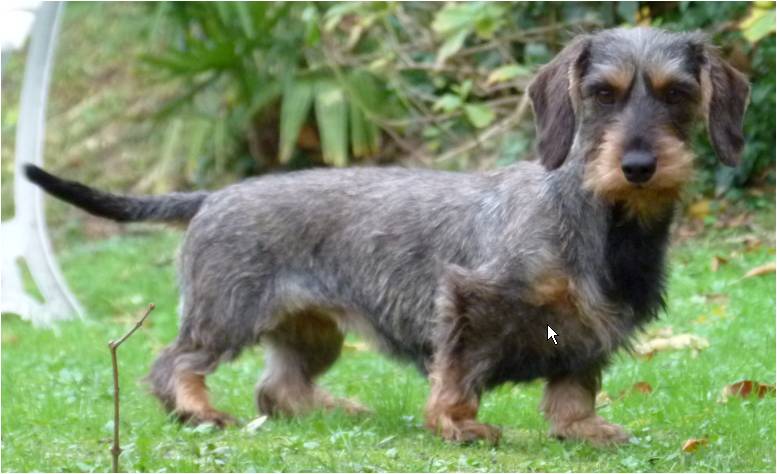 Publication : El Cubío