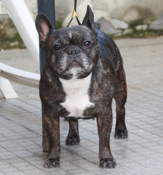 Vodka De la rose des neiges