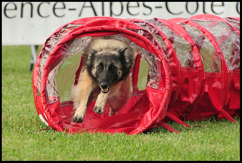 Publication : Des Dunes De Diamants Auteur : V. RICARD