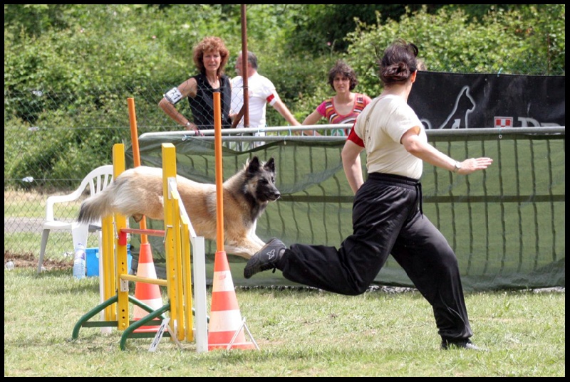 Dune de sable des loups d'Aquitaine - Sélection pour le Championnat de France d'Agility 2ème degré