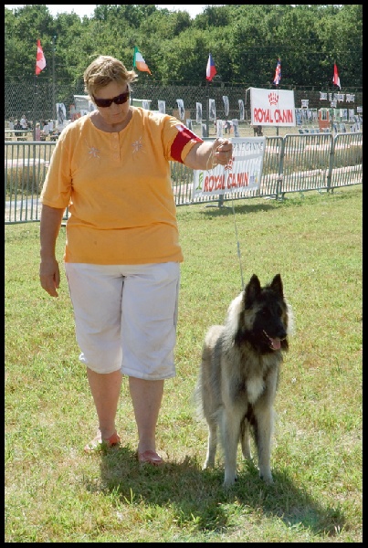 Dune de sable des loups d'Aquitaine - Excellent - Classe Jeunes