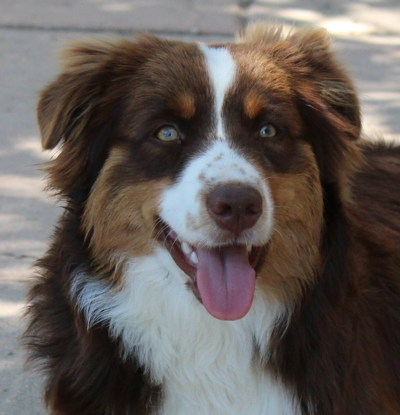 Publication : du mas du grand sauvage