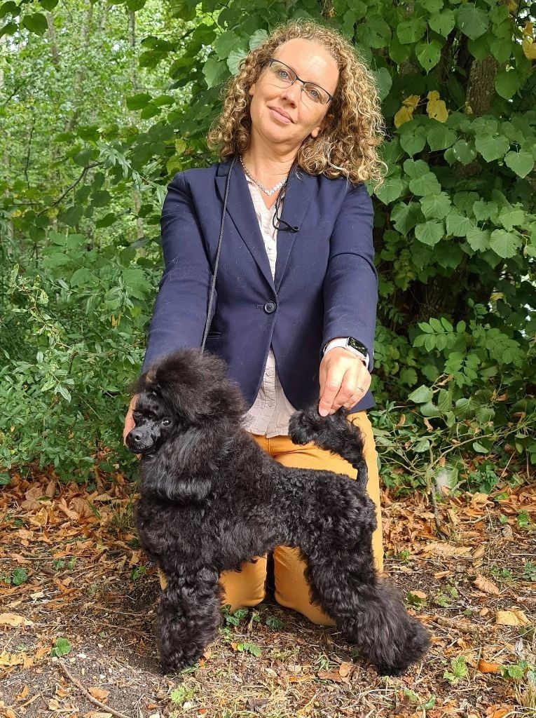 Angelo mister black des Nuits De Nacre