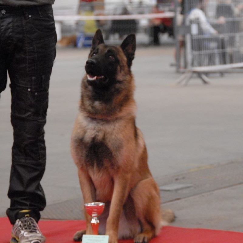 Jak'obb weel-oh De La Colline De L'Auryana