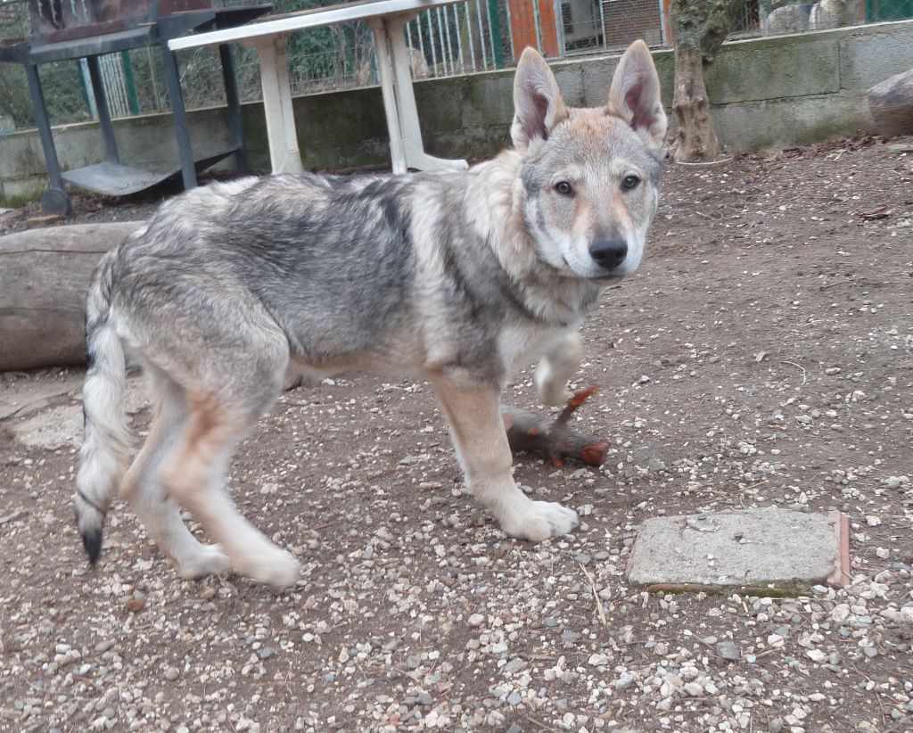 De La Colline De Lauryana