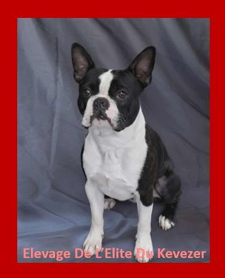 V orwenn vom norden haus