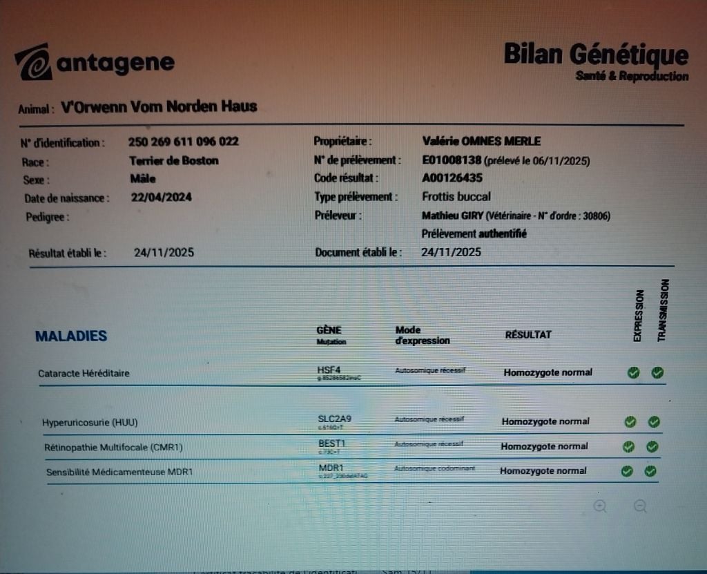 V orwenn vom norden haus