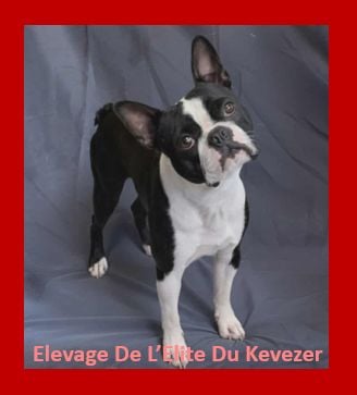 V orwenn vom norden haus