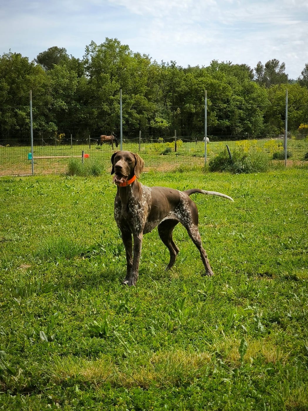 Publication : Du defends De Cabasson