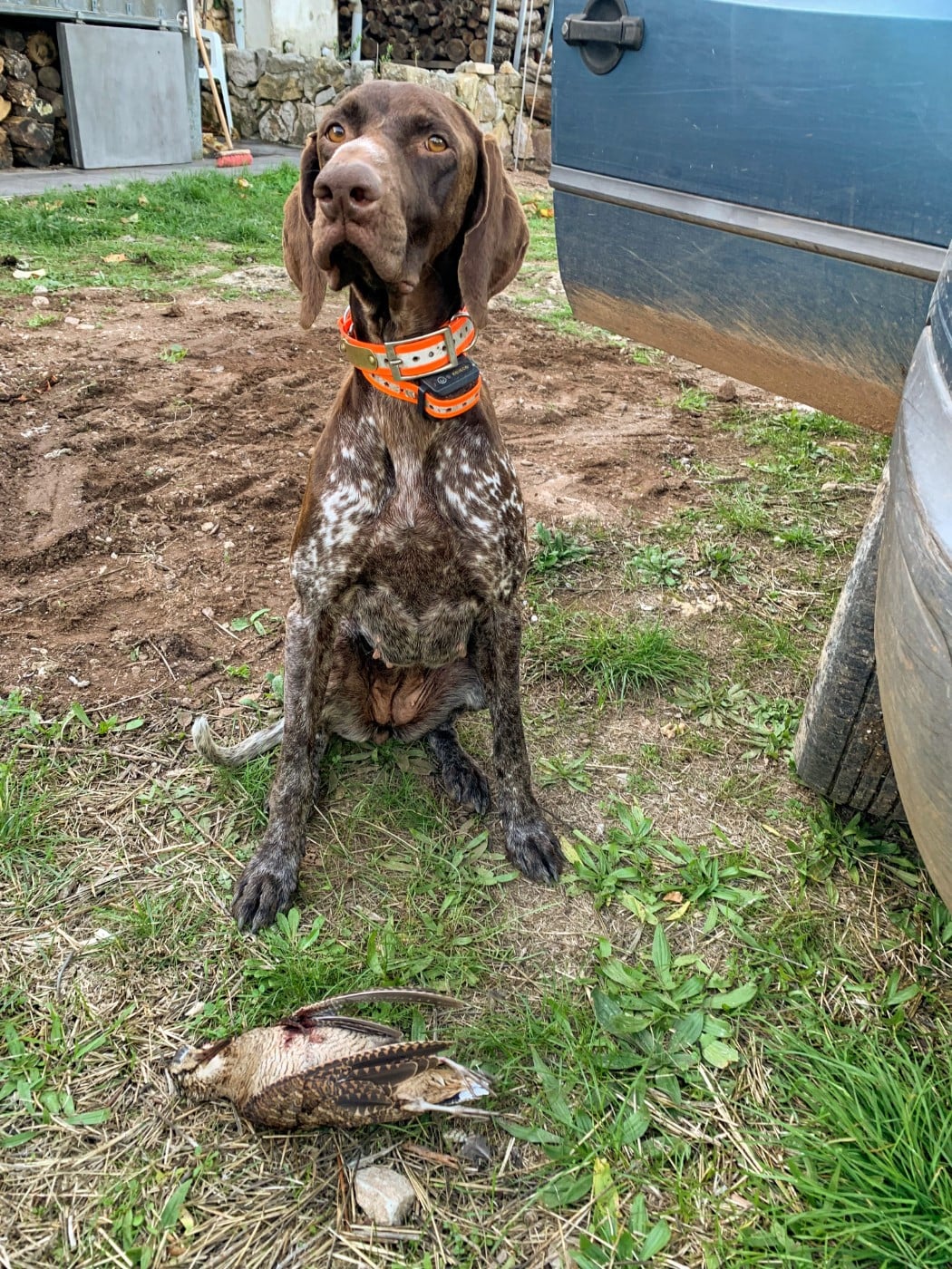 Publication : Du defends De Cabasson