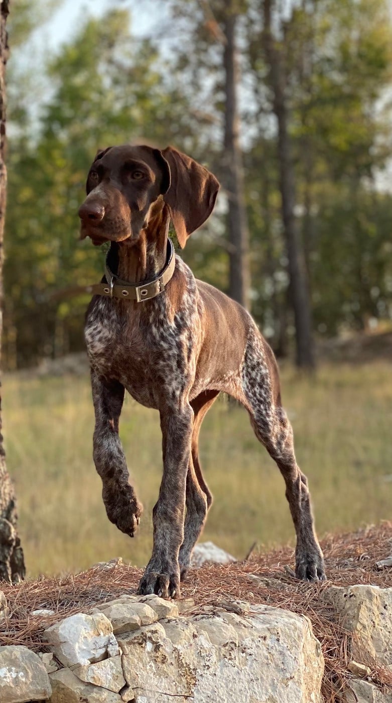 Publication : Du defends De Cabasson