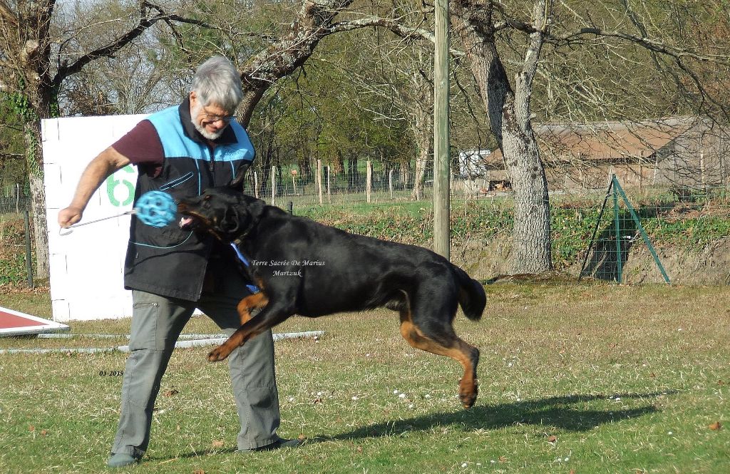 Martzuk De La Terre Sacrée De Marius - BREVET