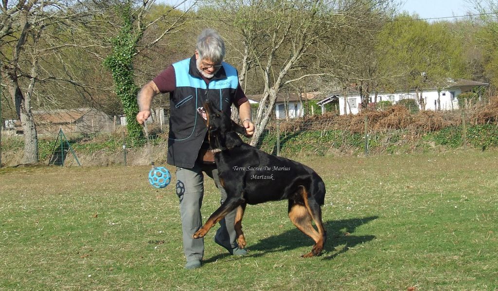 Martzuk De La Terre Sacrée De Marius - CSAU