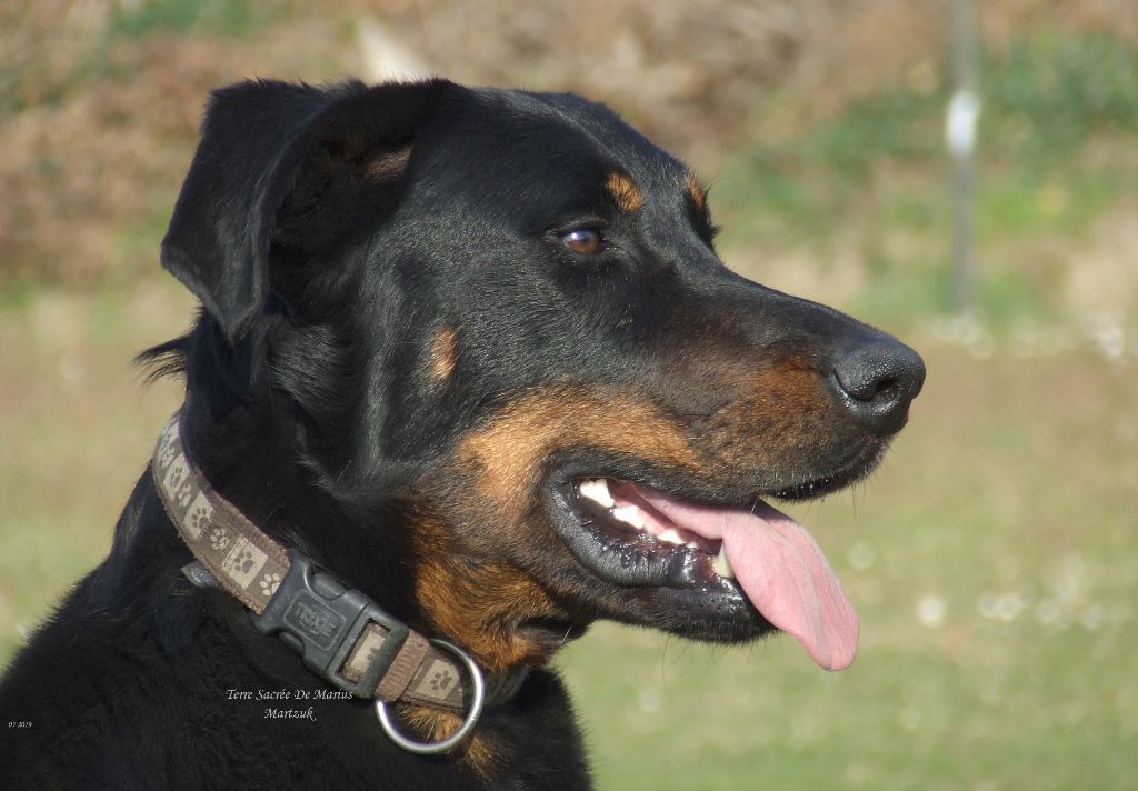 Martzuk De La Terre Sacrée De Marius - EXCELLLENT