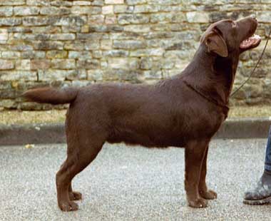 Publication : du clos des jardes