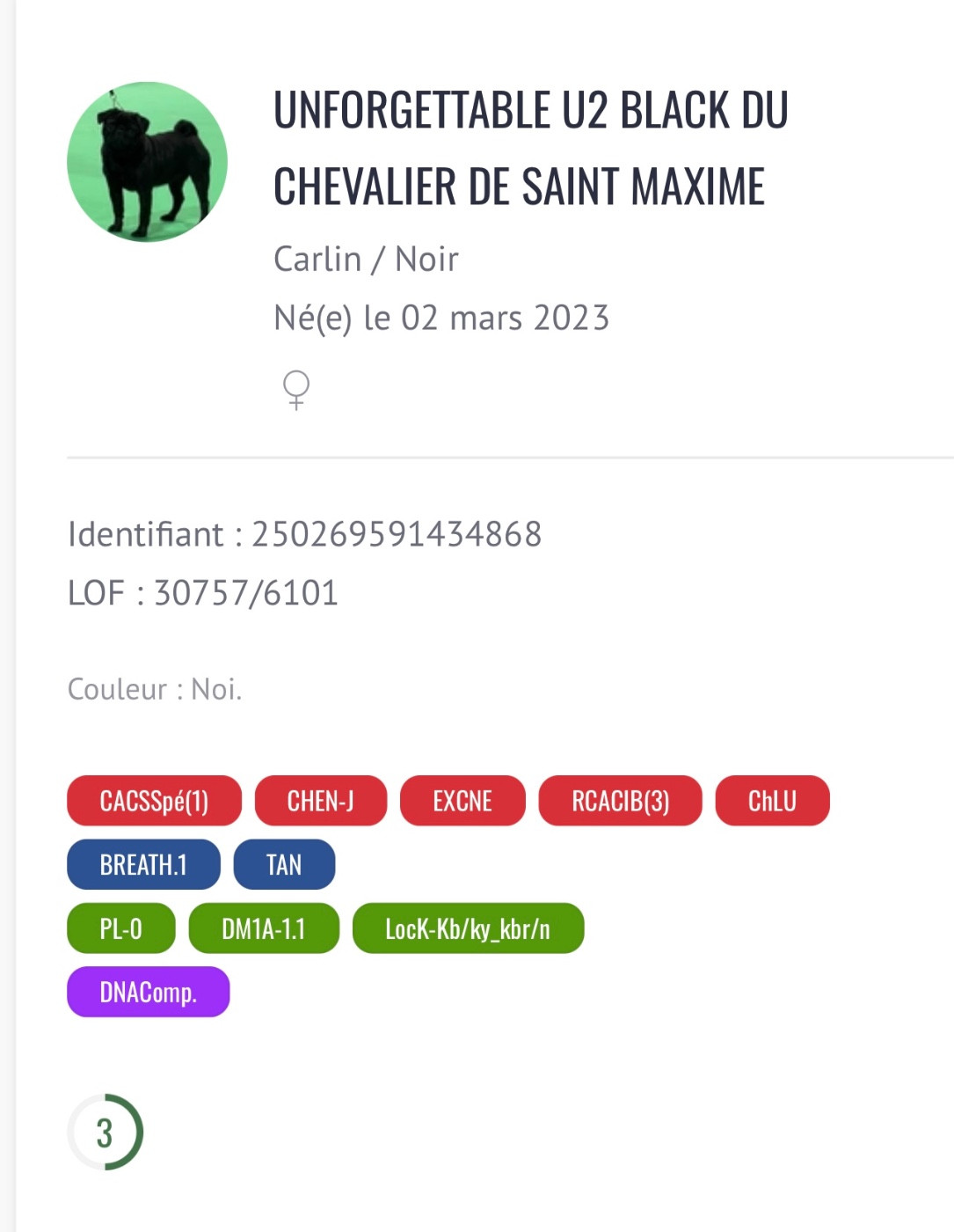 Publication : Du chevalier de saint maxime