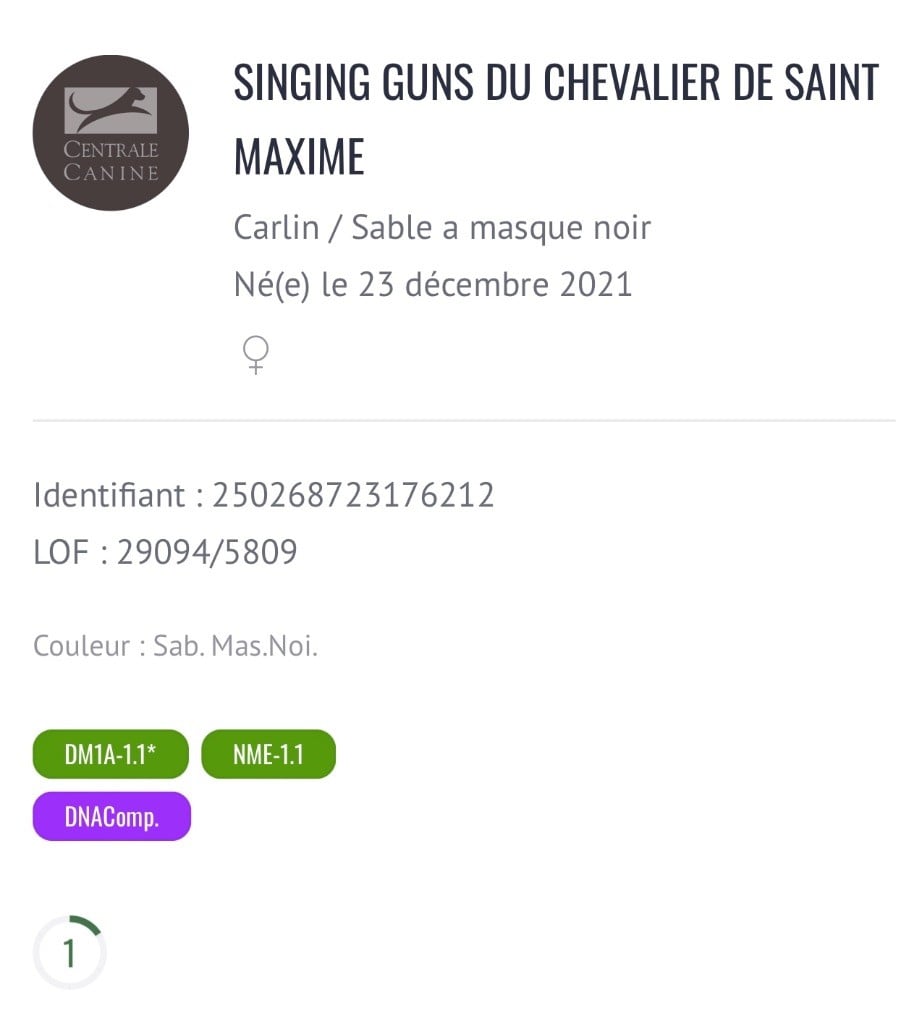 Publication : Du chevalier de saint maxime