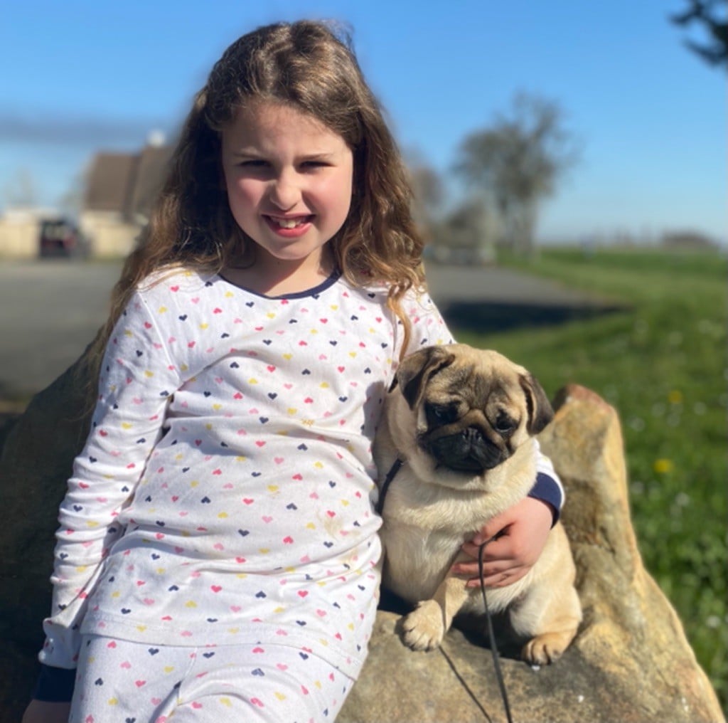 Publication : Du chevalier de saint maxime