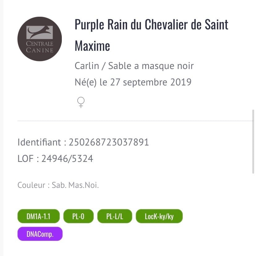 Publication : Du chevalier de saint maxime
