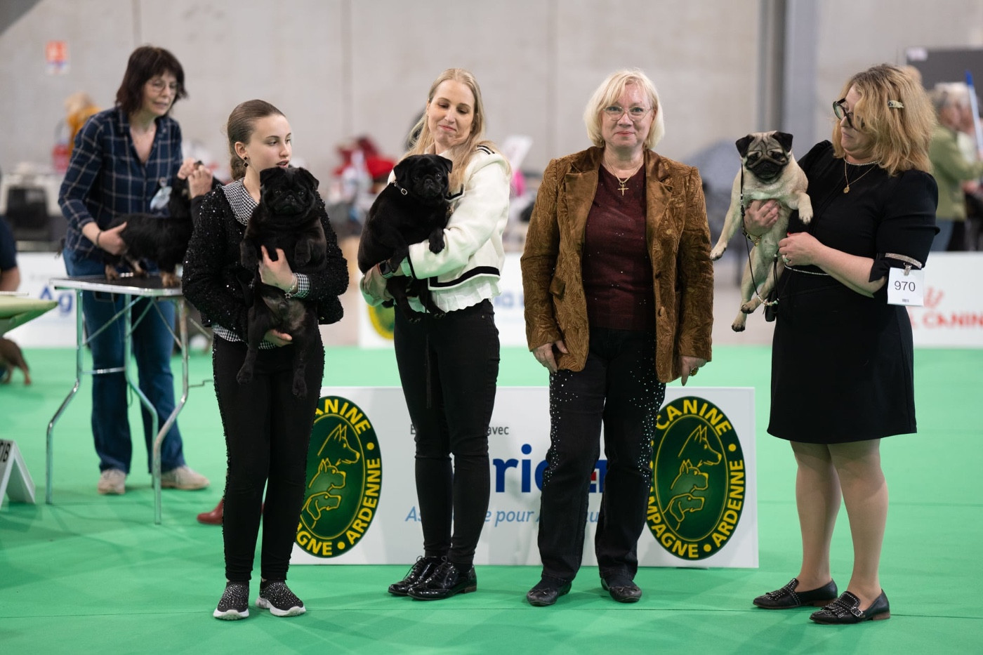CH. Ursa major black Du chevalier de saint maxime - 1 Excellent CACIB + Meilleur de Race