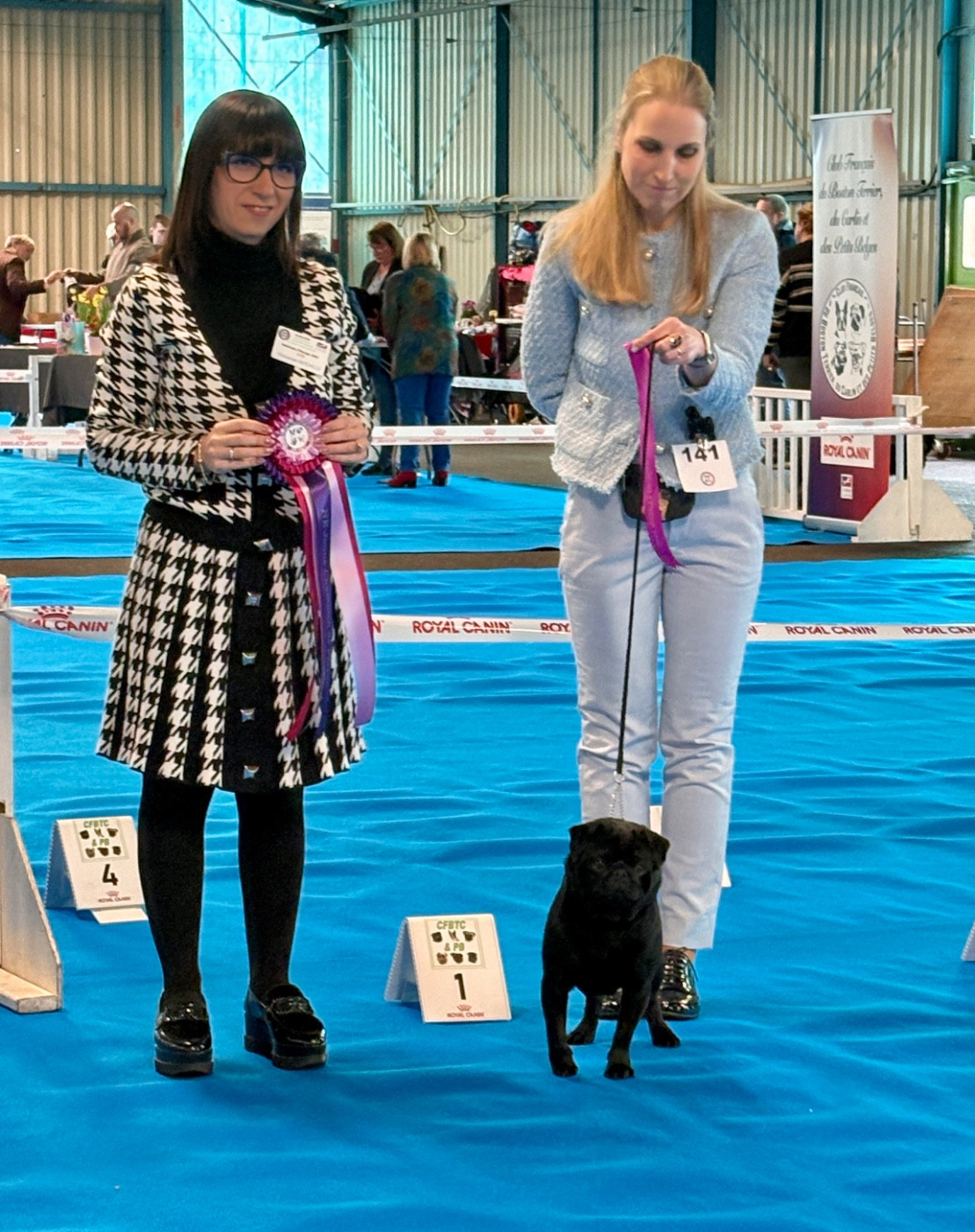 CH. Vendetta black Du chevalier de saint maxime - 1 Excellent CACS - J - Jeune Championne de France